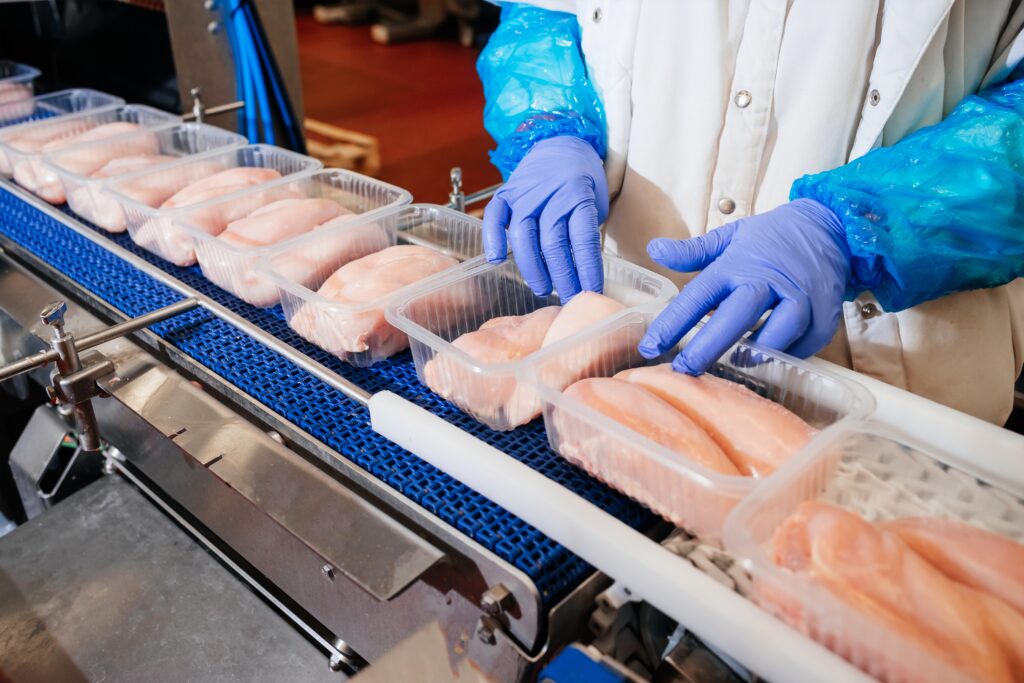 Chicken being packaged in a cold room environment